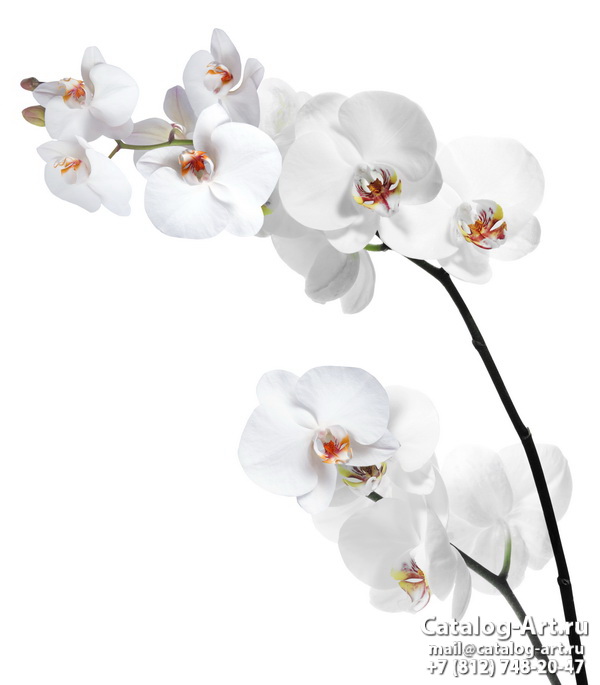 Натяжные потолки с фотопечатью - Белые орхидеи 47